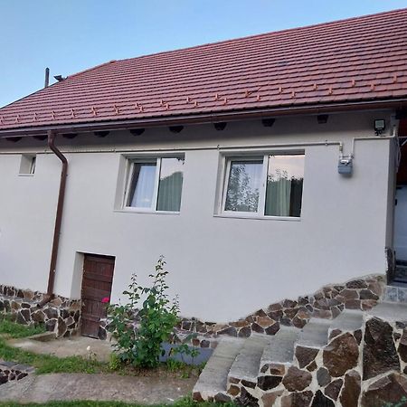 הוילה בראשוב Casa Schei מראה חיצוני תמונה